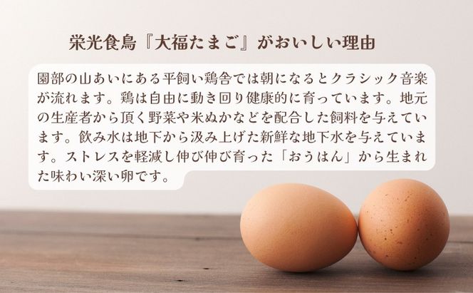 産地直送 大福たまご 30個