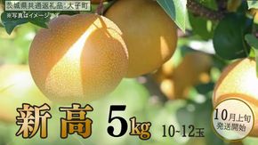 新高 約5kg (10～12玉)【2026年10月上旬発送開始】(茨城県共通返礼品：大子町) 梨 なし 果物 くだもの フルーツ にいたか	
