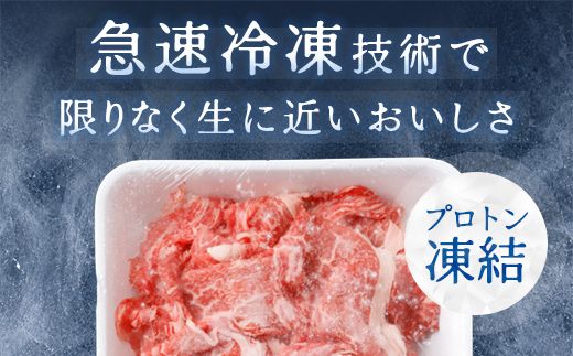 【げんさん】近江牛A5ランク切落し【500g】【訳あり】【DG12W】
