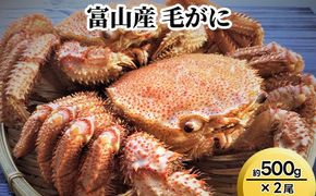 富山産　毛がに約500g×2尾 ※2025年11月中旬～2026年3月中旬頃に順次発送予定