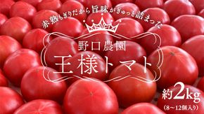 野口農園！ 王様トマト 約2kg ( 8～12個入り )！ ごほうび・麗容・サンロード トマト ごほうび 麗容 サンロード 新鮮 美味しい 野菜 [J007-NT]