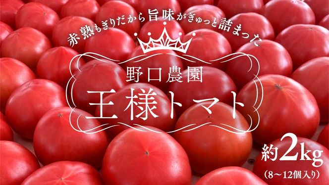 野口農園！ 王様トマト 約2kg ( 8～12個入り )！ ごほうび・麗容・サンロード トマト ごほうび 麗容 サンロード 新鮮 美味しい 野菜 [J007-NT]
