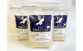 【数量限定】【令和7年産米】新潟県村上市岩船産 こしいぶき 6kg　1099001