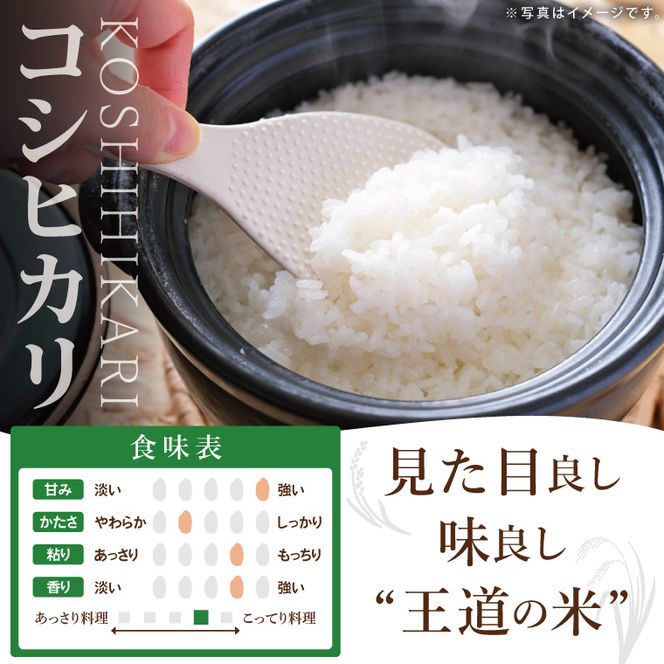 茨城県北城市産 お米3種食べ比べセット【お米 米 コメ こめ こしひかり 北茨城市 茨城県】(DE001)