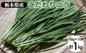 栃木県産こだわりニラ100g×10束 ｜ さくら市 にら 韮 野菜 国産