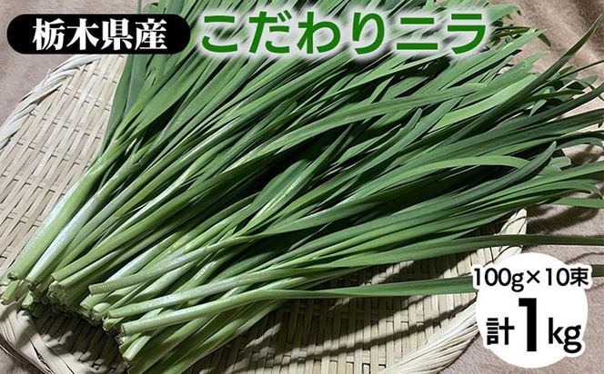 yȖ،szȖ،Yj100g×10 b s ɂ B  Y