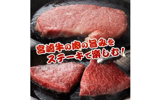 ※発送時期が選べる※宮崎牛 ステーキ 2種 600g 【 肉 牛肉 国産 宮崎県産 宮崎牛 黒毛和牛 和牛 ステーキ BBQ 4等級  A4ランク ロース モモ 】 [E11118]
