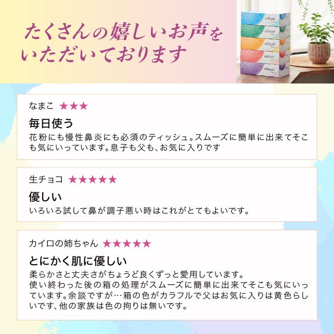 【2回お届け 計120箱】エリエール ティシュー 180組5箱 12パック ティッシュペーパー 箱ティッシュ ボックスティッシュ 紙 まとめ買い 防災 常備品 備蓄品 消耗品 日用品 生活必需品 送料無料 赤平市 ストック 