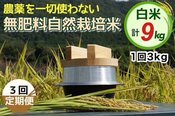 【3回定期便】自然栽培米 にこまる ＜農薬を一切使わない無肥料栽培＞ 白米 3kg × 3ヶ月 計9kg（精米したて）《令和6年産 新米 京都丹波産 無農薬米栽培向き 厳選品種》