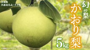 かおり 梨 5kg 【2026年8月中旬発送開始】(茨城県共通返礼品：大子町) 梨 なし 果物 くだもの フルーツ かおり 芳醇 希少品 青梨