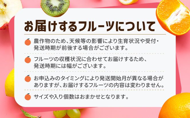 【ALL化粧箱】【3回お届け】高松市自慢のフルーツ定期便【H】 372013_T006-772J