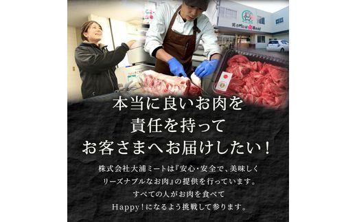 「肉のまち加古川」精肉店大浦ミートの本気の加工品！《 ハンバーグ カレー 定期便 惣菜 簡単調理 手軽 おかず 》【2501I00201】