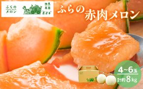 【2026年6月発送】ふらの 赤肉メロン 4～6玉入 計約8kg (相馬農園) メロン フルーツ 果物