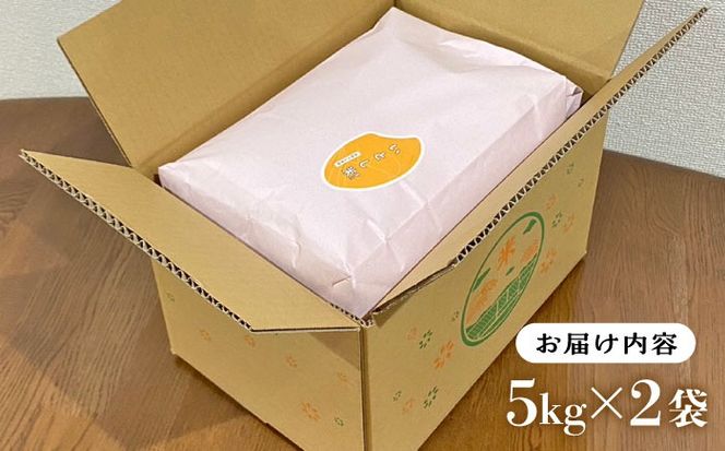 いとし米 厳選ひのひかり10kg (糸島産) 糸島市 / 三島商店[AIM045] 米 お米 ご飯 白米 ひのひかり ひのひかり 九州 福岡