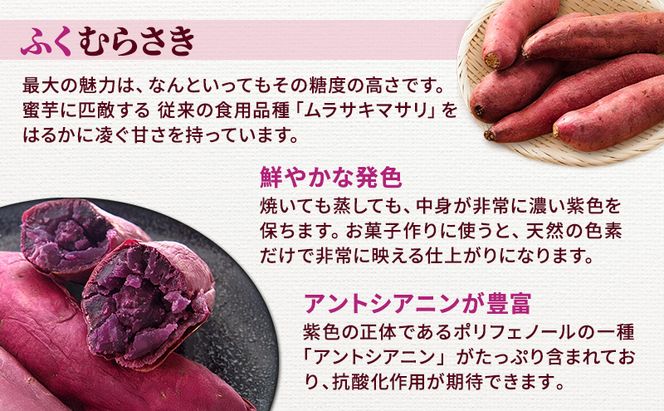 さつまいも 約10kg ふくむらさき 加工用 大きいサイズ サツマイモ 宮城県産 甘い 秋 冬 スイーツ いも 産地直送 宮城県 大河原町