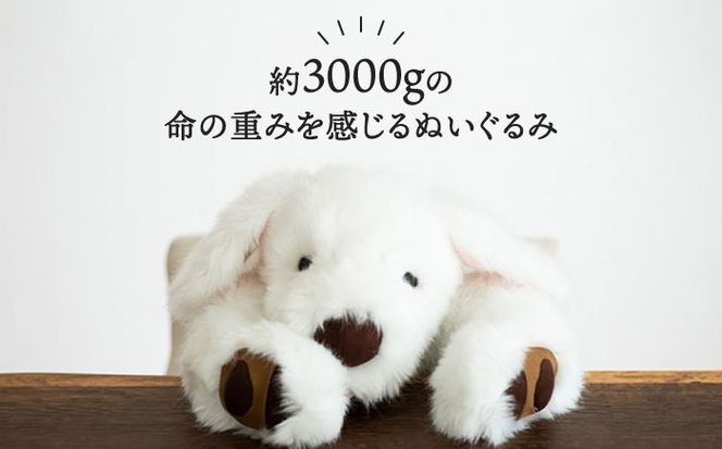 シロラン ＆ クロラン （ パトラン 2点セット ）犬 ぬいぐるみ 糸島市 / 科学工房未來 [AYI004]