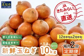 【隔月2回(12月・2月)定期便】JAきたみらいから直送する新鮮玉ねぎ 10kg L玉 ( 野菜 定期便 玉葱 たまねぎ 期間限定 )【999-0148-2026】