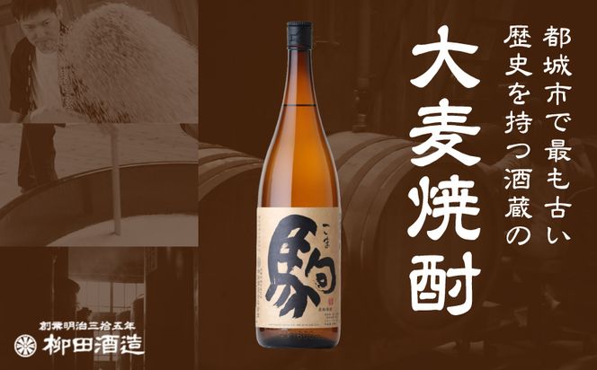 【柳田酒造】大麦焼酎 駒(25度)1.8L×2本 ≪みやこんじょ特急便≫_MJ-0751_99