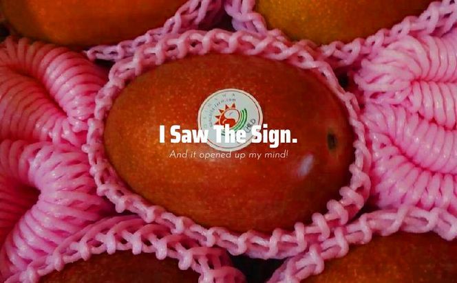 【2026年発送】大宜味村産 アーウィン種マンゴー　秀品2キロ以上（青ぎりシークワーサー800ｇ付き） フルーツ 果物 くだもの 果実 沖縄 大宜味村 食べ物 国産 秀品 九州産 産地直送 ギフト プレゼント トロピカル 送料無料 甘味 スイーツ お取り寄せ デザート マンゴー