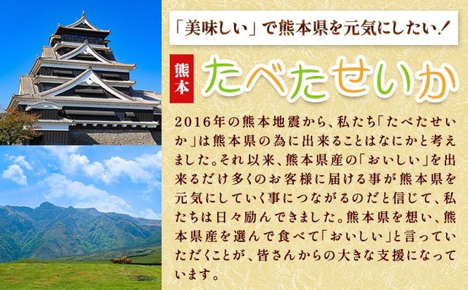 あか牛 すきやき・しゃぶしゃぶ用 サーロイン肉 選べる定期便 1回 合計1.5kg 500g×3パック 3回 6回 12回 合同会社たべたせいか《出荷時期をお選びください》赤牛 牛肉 肉 お肉 すきやき すき焼き しゃぶしゃぶ サーロイン 熊本県産 大津市 送料無料 ---so_ftsass_30d_25_100000_1500g---