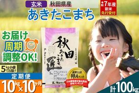 【玄米】＜令和7年産 新米予約＞ 《定期便10ヶ月》秋田県産 あきたこまち 10kg (5kg×2袋)×10回 10キロ お米【お届け周期調整 隔月お届けも可】 新米|02_snk-020610s