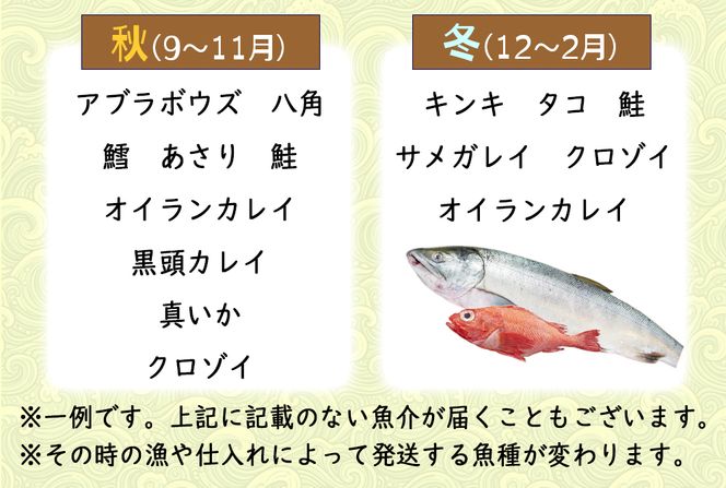 北海道産 旬の魚介 4～5種 お楽しみ詰め合わせ セット