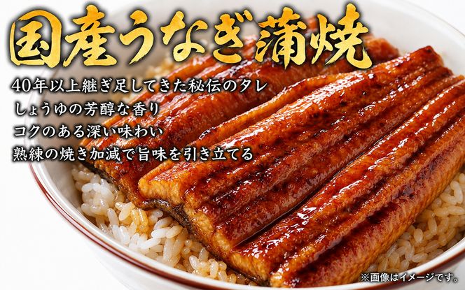 【全3回】まぐろ・うなぎ・和牛を楽しむ贅沢定期便A / 鮪 マグロ 刺身 鰻 ウナギ 蒲焼 熊野牛 肉 牛肉 和牛 黒毛和牛 ヒレ ロース シャトーブリアン ステーキ スライス【tkb386】