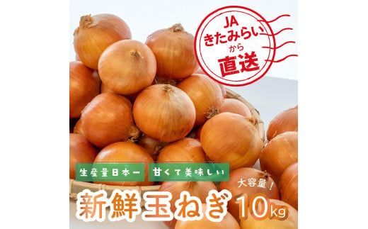 【隔月2回(10月・12月)定期便】JAきたみらいから直送する新鮮玉ねぎ 10kg L玉 ( 野菜 定期便 玉葱 たまねぎ 期間限定 )【999-0006-2026】