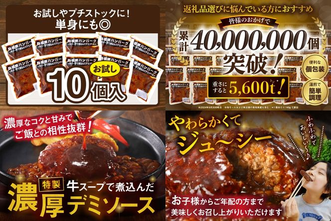 【A-848】鉄板焼ハンバーグ デミソース 10個