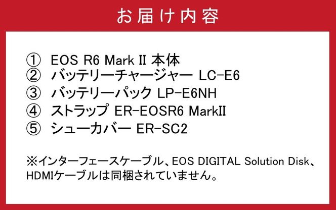 【Canon】 キヤノン ミラーレス カメラ EOS R6 MarkⅡ ボディ キャノン 一眼 家電_0036C