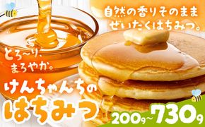 【CF】けんちゃんちのはちみつ 選べる 200g 300g 460g 730g《30日以内に出荷予定（土日祝除く）》ふるさと納税 はちみつ ハチミツ 蜂蜜 国産蜂蜜 天然蜜蜂 徳島県 佐那河内村 送料無料---tsm_mkf1_30d_25_6500_200g---