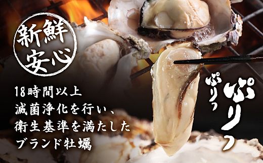 【先行予約／2026年12月より順次発送】I-55生食用浦村牡蠣１５個入りセット