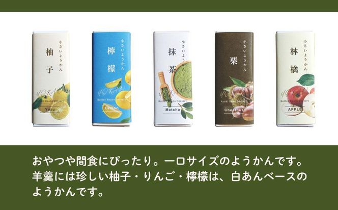 【孔葉堂】小さいようかん5種セット | 京都 ようかん 人気［ 土産店で大人気 梅昆布茶と相性抜群 和菓子 栗羊羹 抹茶 柚子 檸檬 りんご  人気 おすすめ お取り寄せ 通販 送料無料 ふるさと納税 ］ 261009_B-NT06