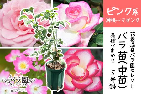 y茧ԊszԊoňuocv5TCY -sN- y1857z