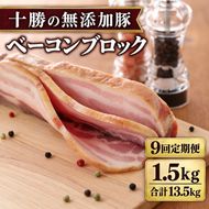 9ヵ月定期便 十勝の無添加豚 ベーコンブロック 1.5kg ［うらがみミート］ 無塩せき 保存料・結着剤不使用【 ベーコン 詰め合わせ 肉 豚 国産 惣菜 おつまみ 料理 加工品 北海道 十勝 幕別 】