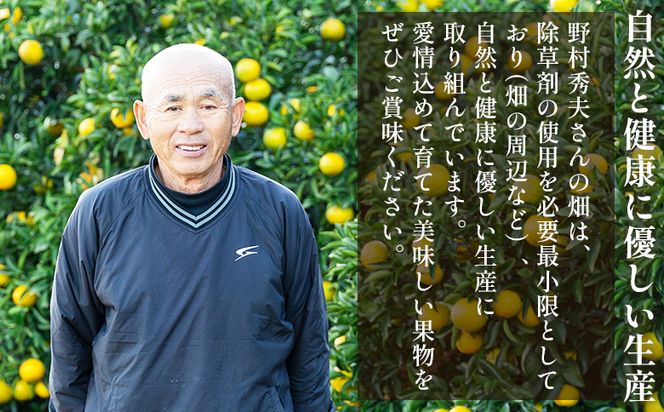 【2026年10月下旬より順次配送】次郎柿 3kg くだもの 果物 フルーツ 柿 かき カキ ３きろ ３キロ 美味しい 栄養 高知県 香南市 nm-0003