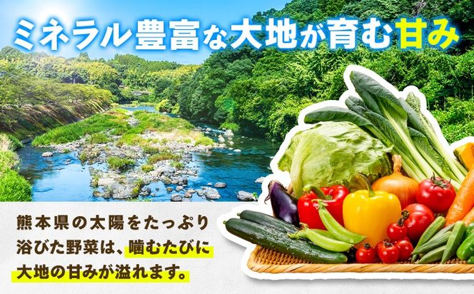 6ヶ月定期便】旬の野菜・果物詰め合わせセット 8-12品 氷川町産 道の駅