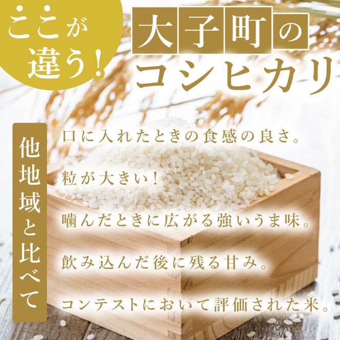 【最短7日発送】大子産米 コシヒカリ（精米）5kg|茨城県 大子町 こしひかり 白米 令和7年産 食味値 コンテスト（AV049）