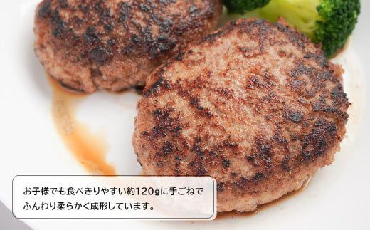 淡路島チーズインハンバーグ 120ｇ×8個 ハンバーグ