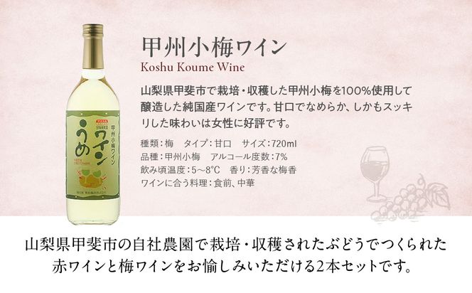 【敷島 赤 & 甲州小梅ワイン】2本セット 　F-2