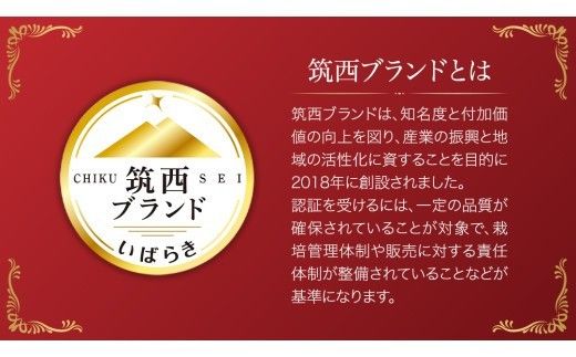 日本野菜ソムリエ協会開発 ドレたれセット！ スーパーフルーツトマト 中箱 約1.2kg × 1箱 【 大玉 12～15玉/1箱】 2026年産
 糖度9度 以上 ドレッシング たれ とまと トマト フルーツトマト 野菜 セット [AF112ci]