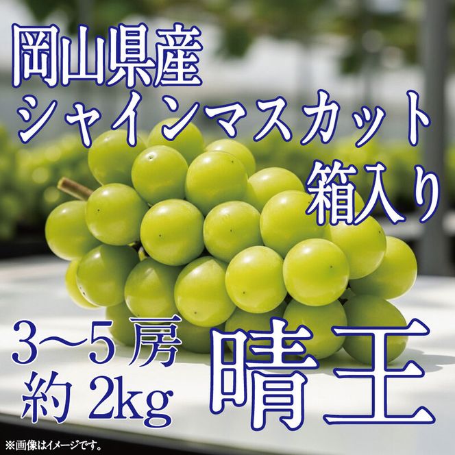 [HS]ぶどう先行予約9月・10月発送シャインマスカット晴王2kg箱（3～5房）ブドウ 葡萄  岡山県産 国産 フルーツ 果物 ギフト デザート 食後 酸味が少ない 産地直送
