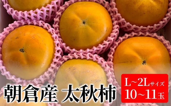 柿 太秋柿 L～2Lサイズ 10～11玉入 かき カキ 果物 くだもの フルーツ 