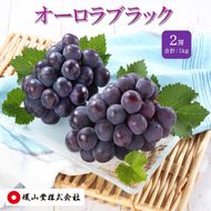 ぶどう 2027年 先行予約 オーロラブラック 2房 合計1.0kg ブドウ 葡萄 岡山県産 国産 フルーツ 果物 ギフト 環山堂