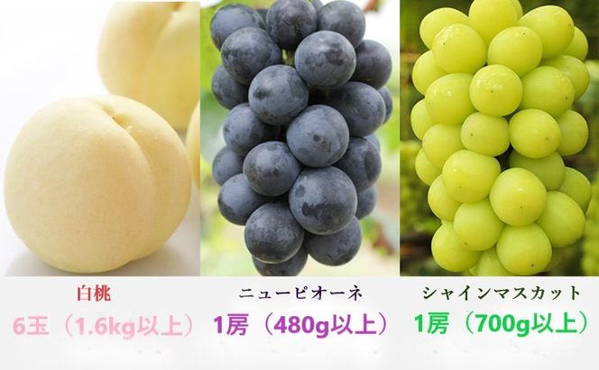 桃 ぶどう 定期便 2026年 先行予約 晴れの国 岡山 の フルーツ 定期便 3回コース もも モモ 葡萄 ブドウ 岡山県産 国産 セット ギフト 化粧箱入り 白桃 ニューピオーネ シャインマスカット 晴王