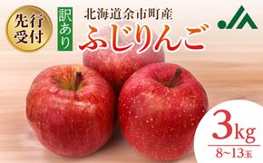 【先行受付：2026年11月下旬以降発送分】訳あり りんご（ふじ）3kg_Y010-0660