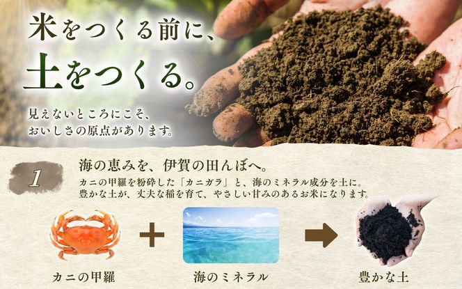 伊賀米コシヒカリ 令和8年産 新米 特別栽培米「真米」白米10kg【ymnk0002A】