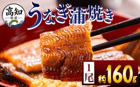 うなぎ 高知県産蒲焼きうなぎ １６０ｇ １尾 fb-0151