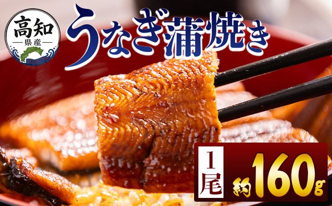 うなぎ 高知県産蒲焼きうなぎ １６０ｇ １尾 fb-0151