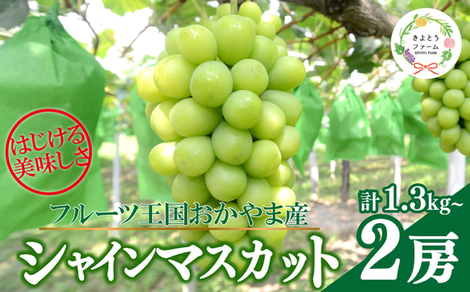 【2026年先行予約】シャインマスカット 特大２房入/計1.3kg~ (岡山県産) 【KF-B014-03】